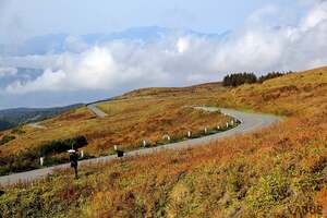 走った瞬間“虜”になる!? 紅葉の「ビーナスライン」で味わう絶景三昧ツーリング 実際に行ってわかった“バイク乗りの聖地”と言われる理由とは