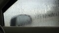 梅雨の季節になるとクルマのエアコンが臭うのはなぜ？