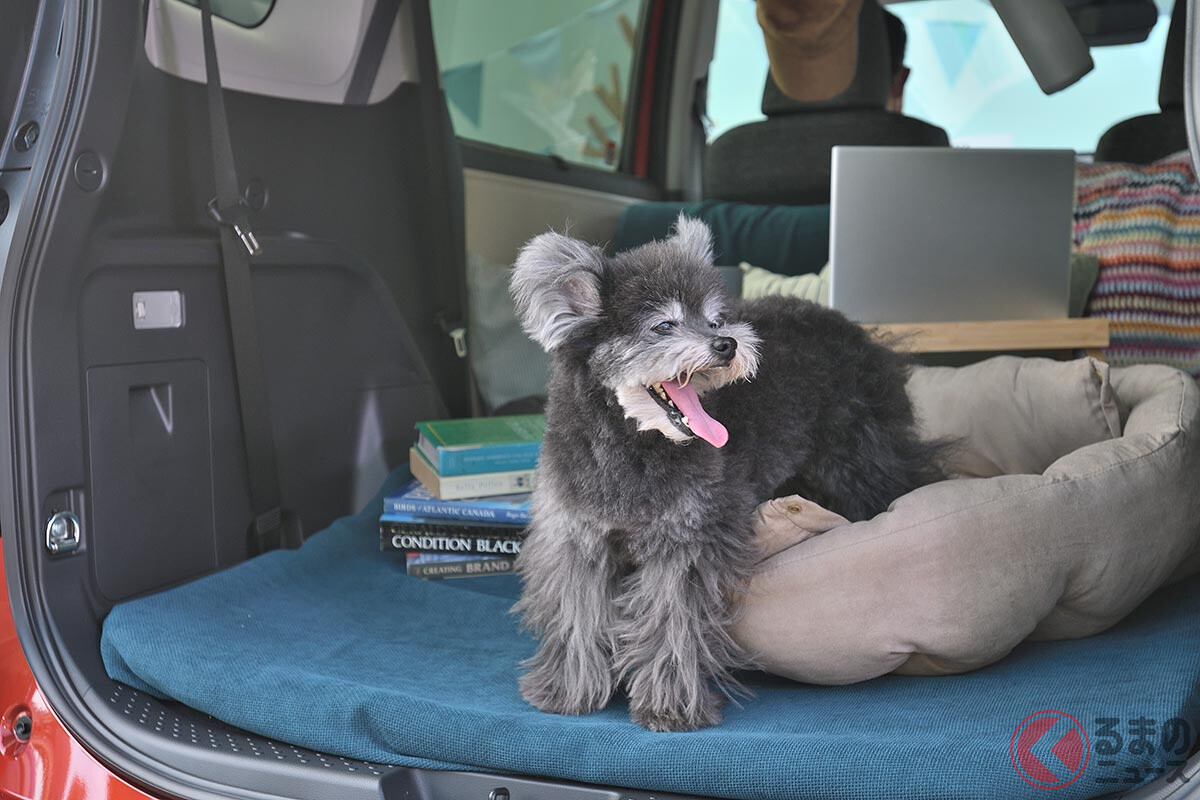 シエンタ犬が可愛すぎる！」トヨタ「小型ミニバン」話題のCMが復活