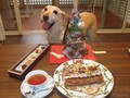 後で悔やんでも遅い！ 愛犬とドライブ旅行を重ねる意味と理由【青山尚暉のわんダフルカーライフ】