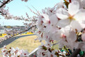 アストンマーティンF1チーム代表アンディ・コーウェル氏にインタビュー！「今はまだ成長期。どんどん強くなっていきます」