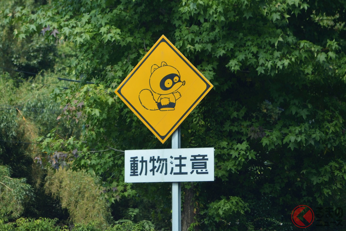佐賀県に幻の 国道0号線 が存在 よく見ると 何か違う標識の謎とは くるまのニュース の写真 3ページ目 自動車情報サイト 新車 中古車 Carview