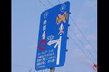 佐賀県に幻の「国道0号線」が存在!? よく見ると…何か違う標識の謎とは
