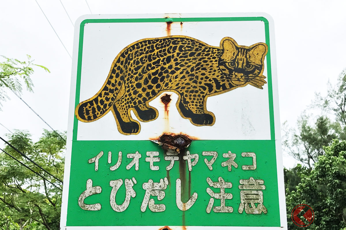 佐賀県に幻の 国道0号線 が存在 よく見ると 何か違う標識の謎とは くるまのニュース の写真 自動車情報サイト 新車 中古車 Carview