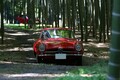 名車ゾロゾロ53台！　秋の栃木で豪華なパレードランを行った