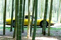 名車ゾロゾロ53台！　秋の栃木で豪華なパレードランを行った