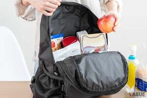 広げれば23L、畳めば超コンパクト！ 使い勝手抜群なのに安い人気の折りたたみリュックにLサイズが登場 “備え”に最適な汎用性とは