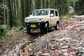日本中から「林道」がなくなる!? 縦割り行政による修復の弊害とは