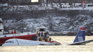 バードストライク発生数「1日4.6件」！ 対策はハイテクとアナログの合わせ技 “エンジンに鶏肉撃ち込む試験”まで