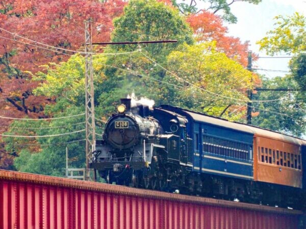 11月から“黒いSL”ついに復活！車両トラブルで離脱も半年で修理完了へ　大井川鐡道