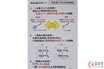トヨタ「GRカローラ」が実現する水素エンジンの進化！ 「ストイキ × リーン」燃焼切替技術が凄そう!?  未来を切り開く挑戦とは