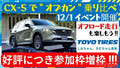 中韓企業が上位[独占]？　車載電池世界シェアトップが納得すぎた件