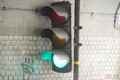 「日本一低いかもしれない信号機」が異次元すぎるのですが…。この“ド迫力”、実際に現地に行かねば多分わかりません。