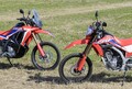 ホンダ新型「CRF250L」「CRF250ラリー」はそれぞれの特徴を際立たせた納得のフルモデルチェンジ【太田安治の2021年モデル乗り味予測】