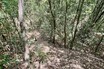 バイクで往く城跡巡り　古墳を利用した城砦!?　かつて戦の舞台となった広島県の「掛迫城」とは
