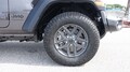 【スタッフ通信】Jeepラングラーのエントリーモデル「アンリミテッド スポーツ」でインディ・ジョーンズ？！