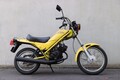 女子高校生が「ザ・原宿バイク」と呼ばれた’80年代のオシャレな原付バイク、ホンダのラクーンに乗ってみました！