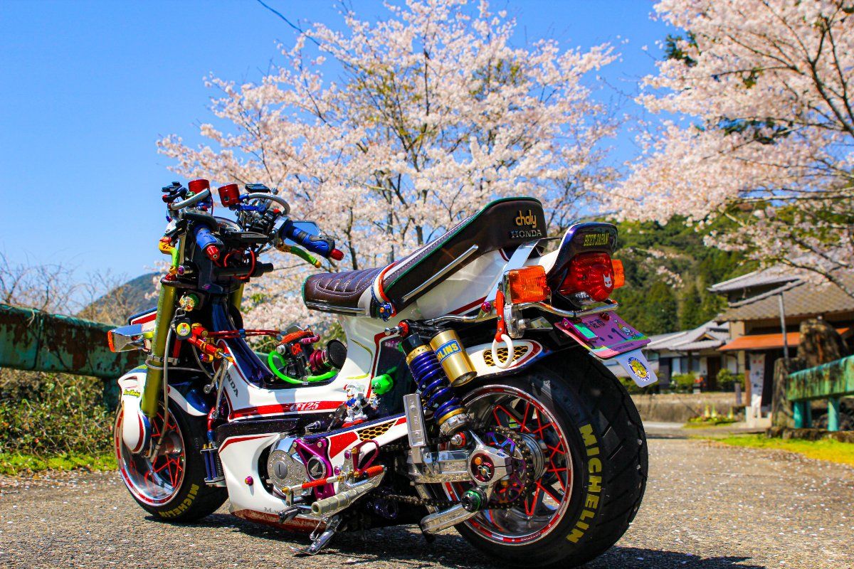 個性派揃いのカワイイ相棒！ 4ミニカスタム大集合！（バイクブロス ...