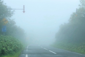 霧のせいで何も見えない！ 突然の濃霧、運転時に気を付けることは？