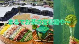 「静岡方面行くならマスト」「茶ル茶ルってなに!?」道の駅そらっと牧之原はライダーの胃袋を掴む食のテーマパークだ
