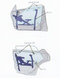 【なぜ後席の窓は全部開かないのか?!】国産全乗用車「全部開く車」と開かない理由