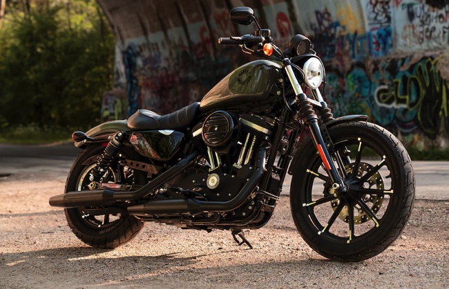 スパルタンなルックスがカッコいい パパサン のニックネームで愛されるハーレーダビッドソン Iron 8 Dime 自動車情報サイト 新車 中古車 Carview