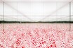 草間彌生の「無限」を探る──エスパス ルイ・ヴィトン大阪で、絵画とインスタレーションの軌跡を辿る個展「INFINITY」が開催中
