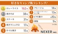 「好きなキャンプ飯ランキング」第1位は？ 株式会社 NEXER がアンケート結果を公開