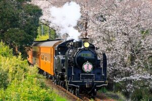 「日本有数のSL運行路線」が全面協力！石炭の甘い煙を感じる「蒸機の香り ルームミスト」 新発売へ