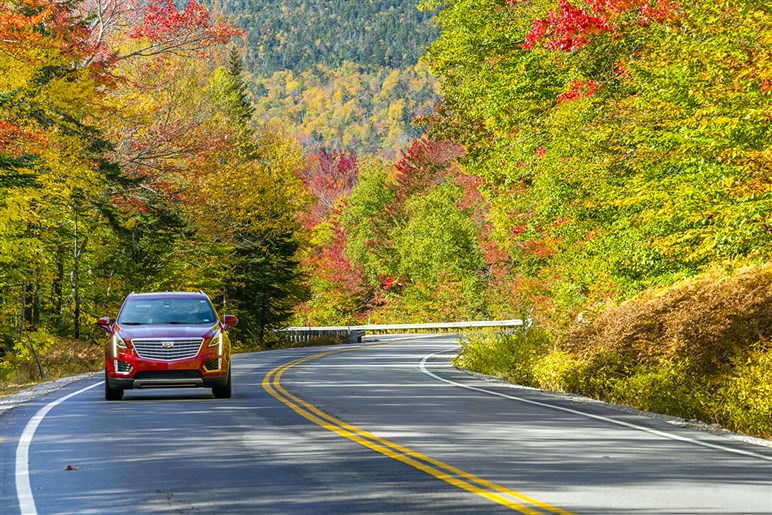 【疑問】自動車免許の取得にメリットはあるのでしょうか？　若者が悩むワケは“タイパ”の悪さだった