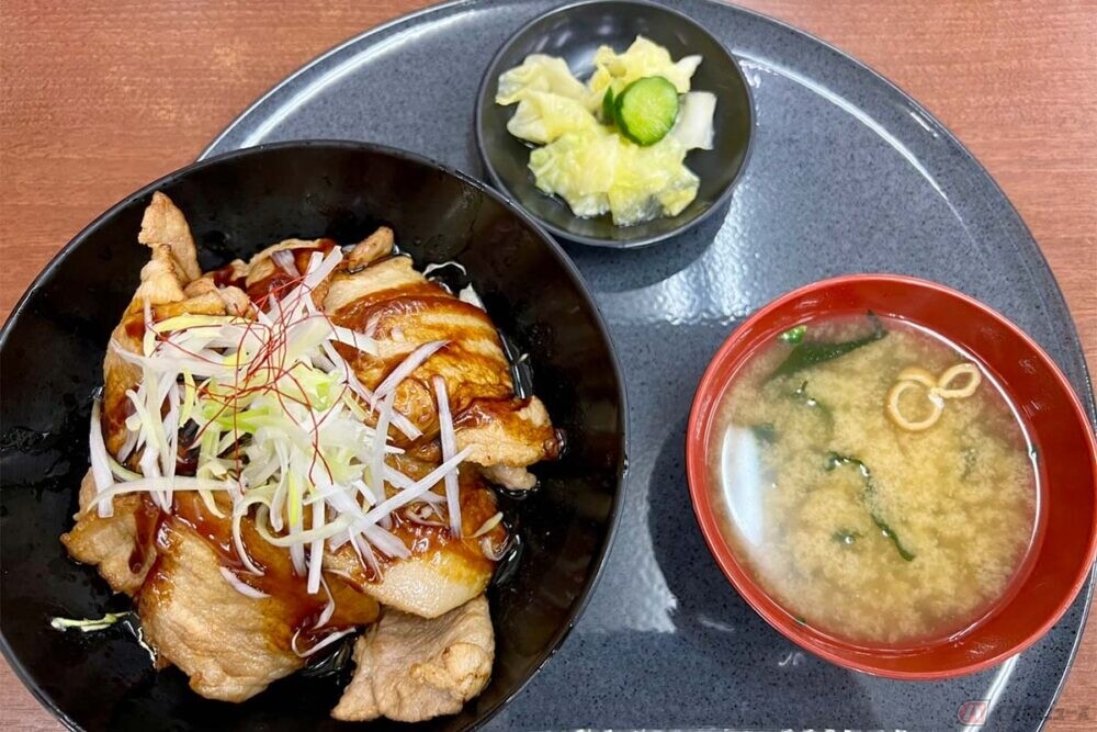 関越道「高坂SA」で出会った見た目にも美味しい「豚丼」を堪能　バイクで行く高速道路グルメ