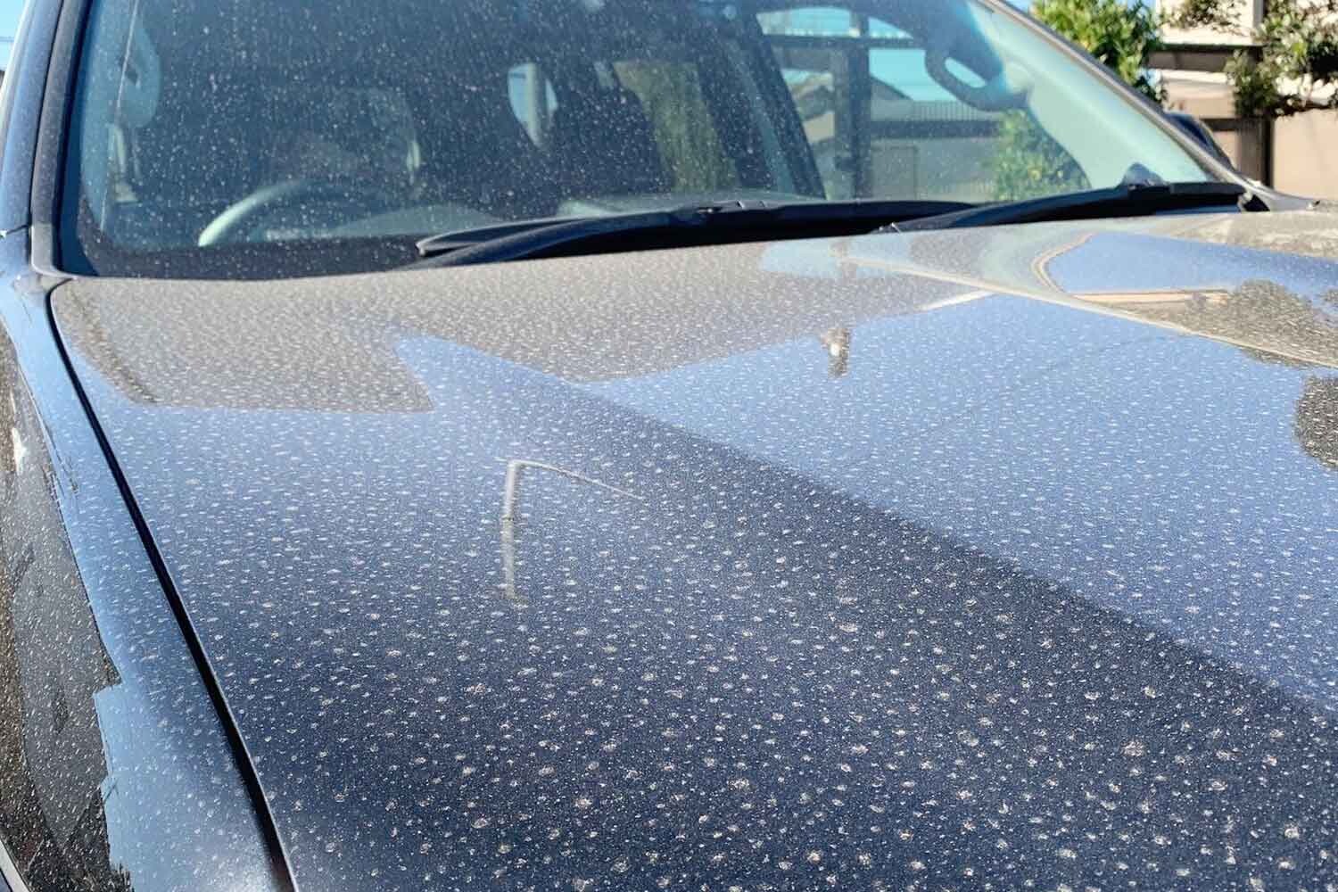 気がついたら取り返しのつかないボディに！　雨上がりの水滴放置はクルマにとって危険だった