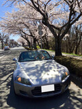 平成最後の桜を愛でながら、古いクルマのオーナーの1人として感じたこと