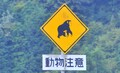 覚えてない人多数！　教習所の教本以来ほとんど見かけないレアな標識10選