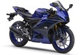 ヤマハ「YZF-R15 ABS」【サクッと読める！250ccバイク・2025年現行モデル解説】