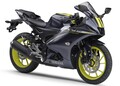 ヤマハ「YZF-R15 ABS」【サクッと読める！250ccバイク・2025年現行モデル解説】