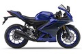 ヤマハ「YZF-R15 ABS」【サクッと読める！250ccバイク・2025年現行モデル解説】