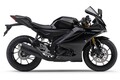 ヤマハ「YZF-R15 ABS」【サクッと読める！250ccバイク・2025年現行モデル解説】