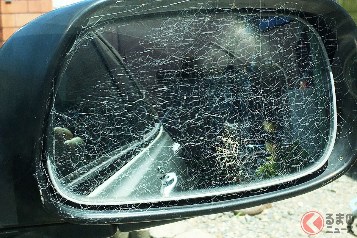 ドアミラーが クモの巣 地獄 なぜクモはミラーに巣を張りたがるのか くるまのニュース 自動車情報サイト 新車 中古車 Carview