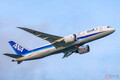 「体型的に旅客機のシートベルトの長さが足りません」→どうする？ 実はあります“超大きい人”が乗っても安心の対策