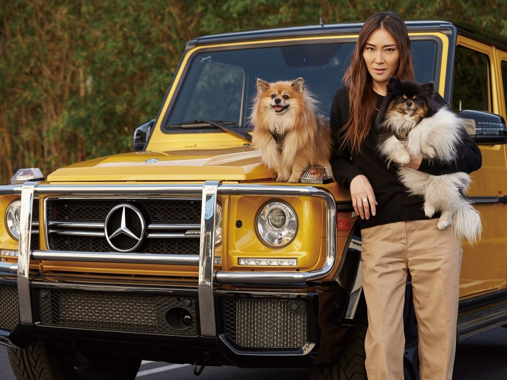 愛犬との旅行をもっと快適に！移動空間にこだわるクルマ選びのポイント