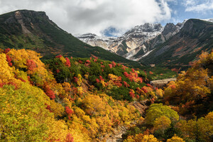 荒々しく雄大な活火山と紅葉のコラボレーション！　今が見頃、十勝岳の絶景