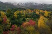 荒々しく雄大な活火山と紅葉のコラボレーション！　今が見頃、十勝岳の絶景