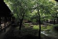 雨が降っているからこそ楽しもう！　感動の雨景ドライブ［前編］