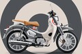 GPX「POPz110」【1分で読める 原付二種解説 2025年現行モデル】