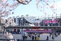 2026年のF1日本GPはどんな観戦環境に？　ファンとの対話で”より楽しく、より快適なグランプリ”目指す鈴鹿サーキット