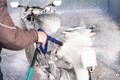 中型～大型対応の「バイク用リアメンテナンススタンド L型」が GRIP EARTH  から5,480円で登場