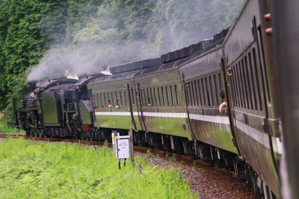 「古い鉄道車両の天国」から異例の「客車売ります」 元JRの由緒ある車両 移籍7年でなぜ？ 大井川鐡道
