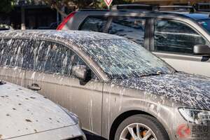 車についた「鳥の“落し物”」どうすればいい？ そのまま「放置」は絶対NGですよ！ 誰しも経験する「あるある場面」 即・対処が必要な理由とは