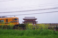 踏切だらけ「近鉄最大のジャンクション駅」の“現実的な高架化プラン”県が発表 40年計画を20年に 停滞する議論を動かせるか？